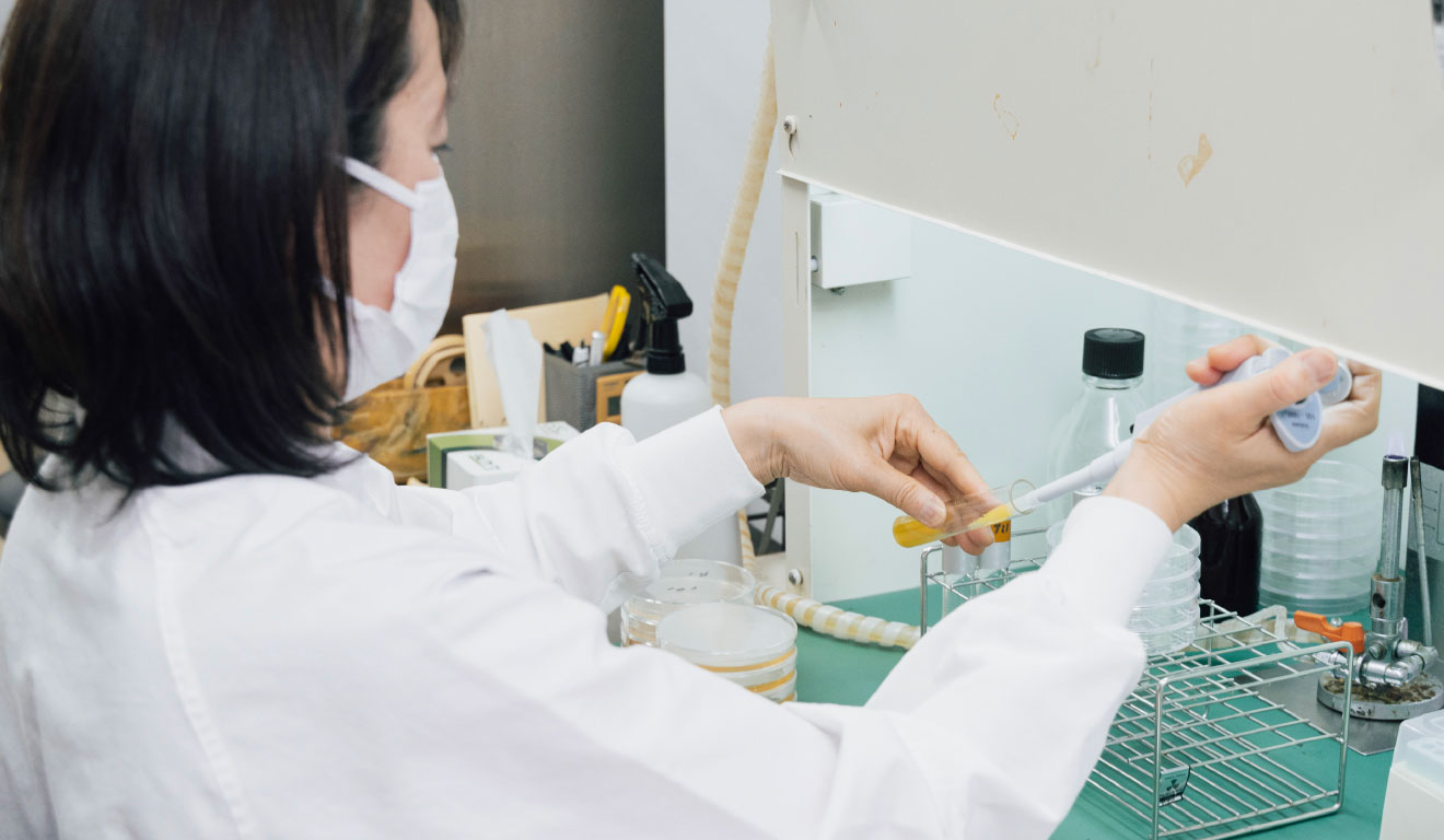 お子様も飲みやすいフレーバー