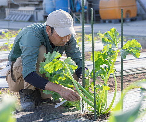 土づくりは、根づくり。