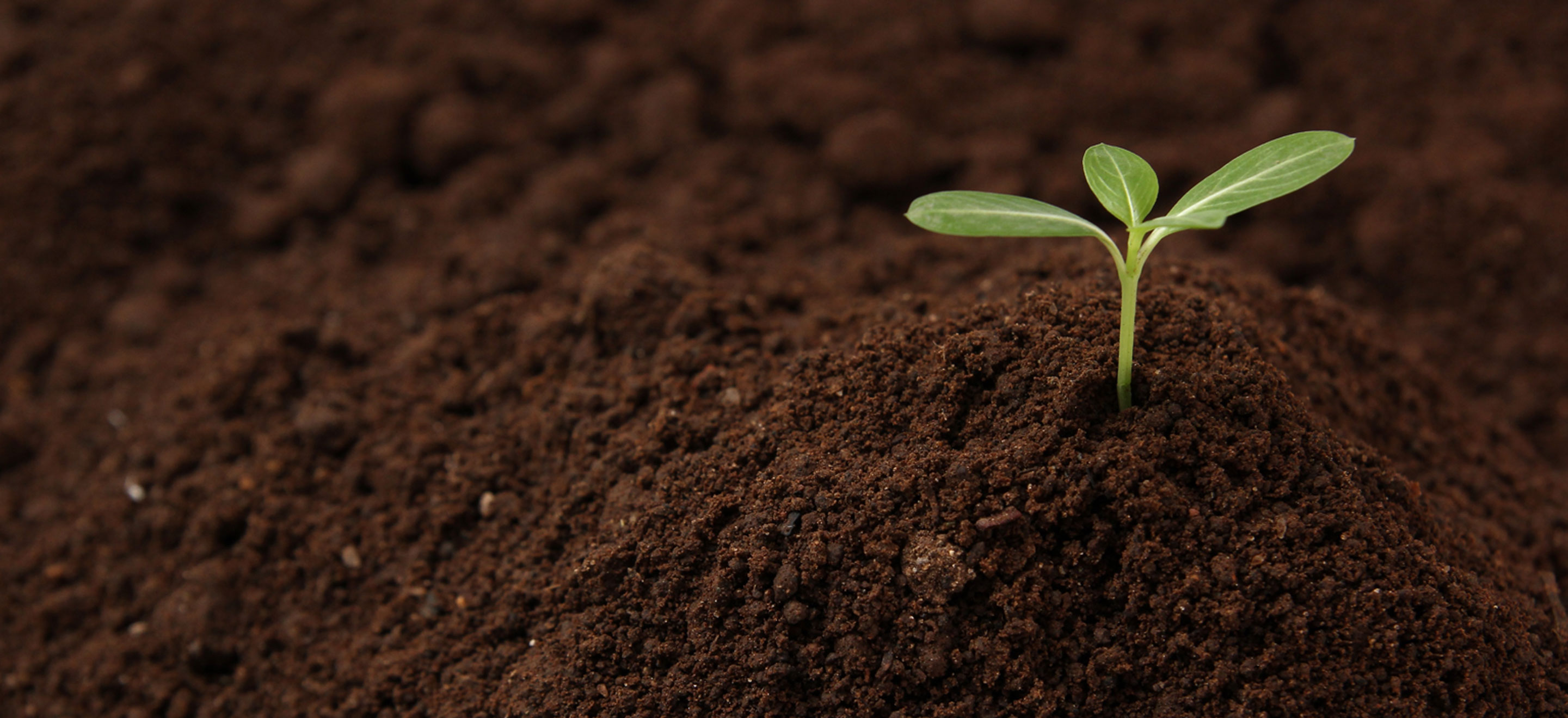 土と未来の取り組み
