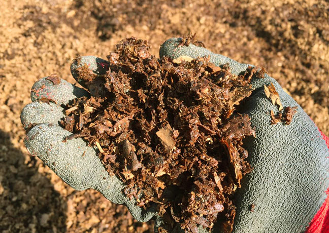 国内生産×自社農場の安心素材