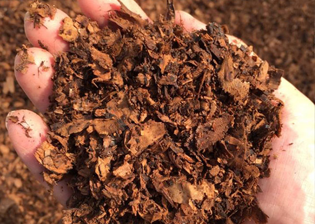 発酵の力で、酵素を育てる