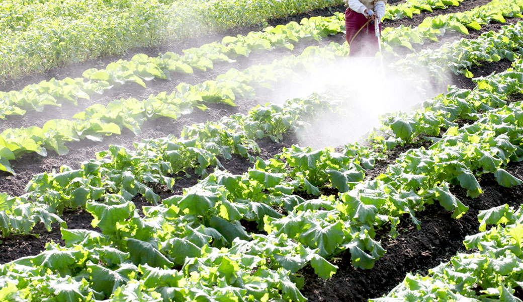 土づくりからひとづくり、地域社会づくりへ